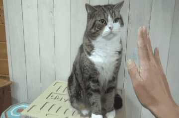 doc298175408_437104743