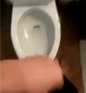 55782052495079_14488683285530