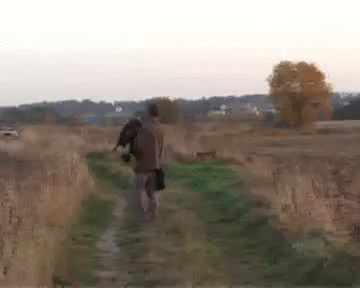 pQ0CaMq - Imgur