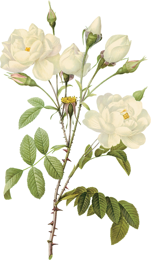 1361815459_a3816a438e27