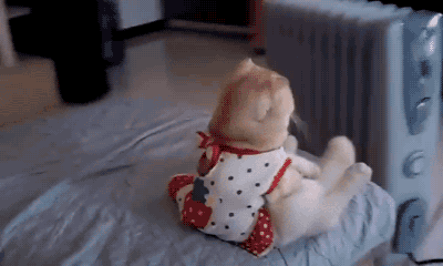 6d6e50b06c14d0801a1971716eb