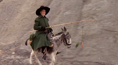 хохлы морковка