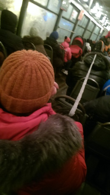 Женщина с сосулькой в трамвае