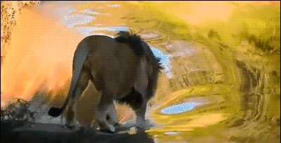 -лев-песочница-2715246