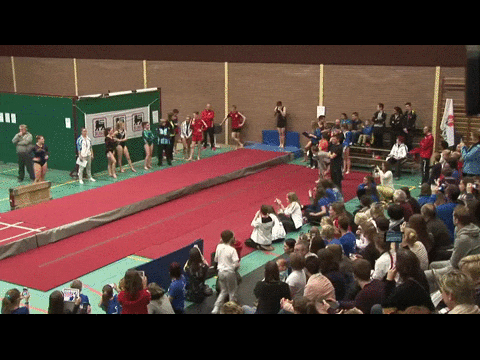 жопа в жопе жопой колыхает