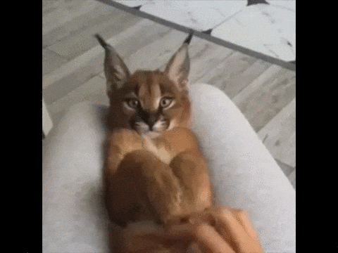 1447820712_1321838156