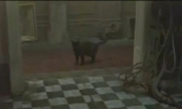 сбой  матрицы
