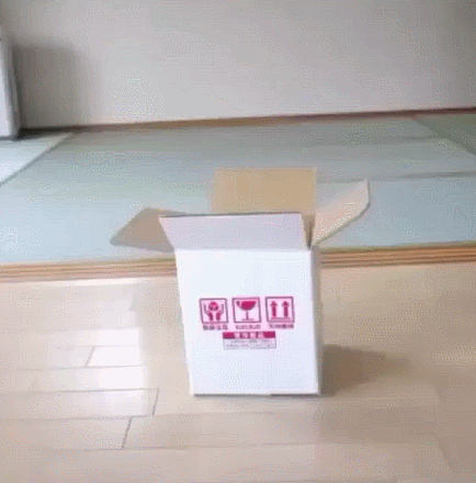 -котэ-Мару-2747208