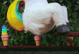 gifs_04
