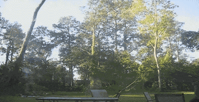 tumblr_nz6lb1i0aM1ukldkho1_400