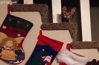 tumblr_nykg97vJdf1ukldkho1_400