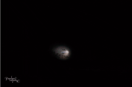 tumblr_nxppq02sxu1tpmgf1o1_500