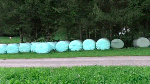 tumblr_nv3yw2DInX1tpmgf1o1_500