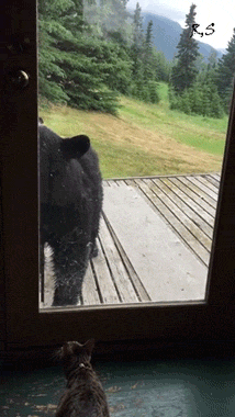 tumblr_nsxy8lt1NI1tpmgf1o1_400