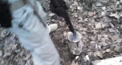 tumblr_nsxy8lt1NI1tpmgf1o1_400