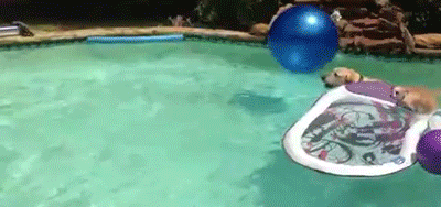 tumblr_n0po7fV3Zg1tpmgf1o1_400