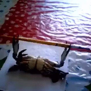 1453393039178369790