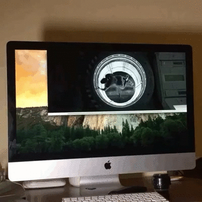 -много-гифок-гифки-взаимодействие-2795701