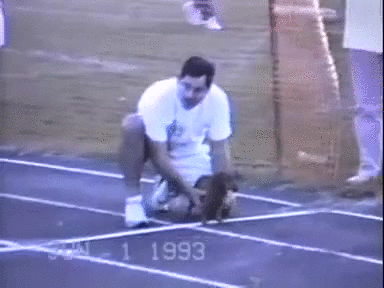 Master I will win this race for you ! - Imgur