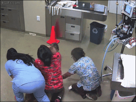 High Ho Silver, AWAY!!!!! - Imgur