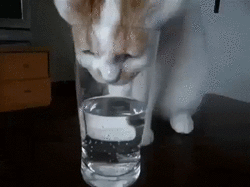 bloggif_56a70e8458cc1