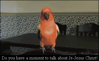 Parrot-attacks-Mormon-missionaries