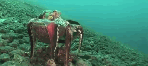 0_1a9b4b_bb3a6fd4_orig