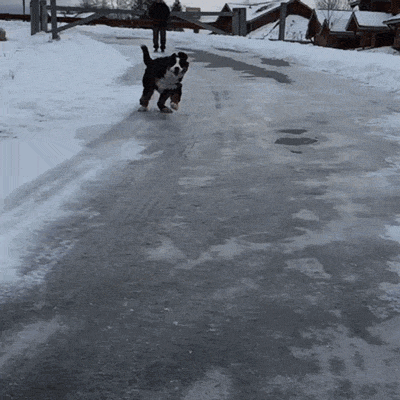 gifs_01
