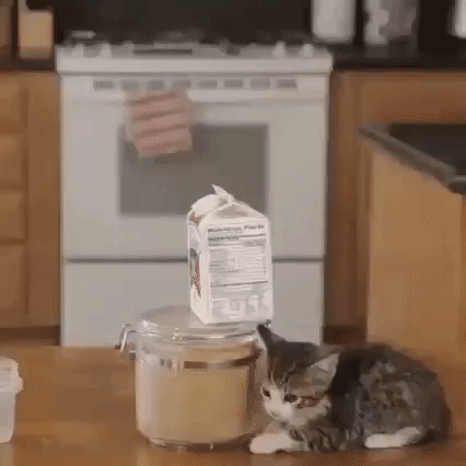 b72f3c3b4eb5e0e6dcf626de71f