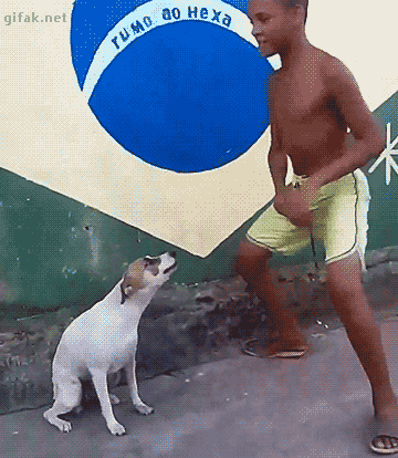 tumblr_o22hqgjAar1ukldkho1_400
