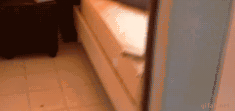 1455006153_gifs_25