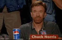 1237811519_chuck-norris-approves