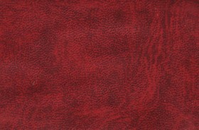 leather_texture392