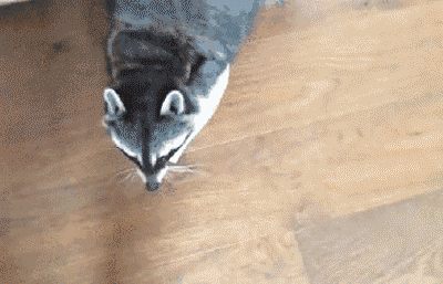 513459f06c82ef71ce0dd4d7fcb48c09d40e4145e85fe41e7b9fcdfb16e23273_1