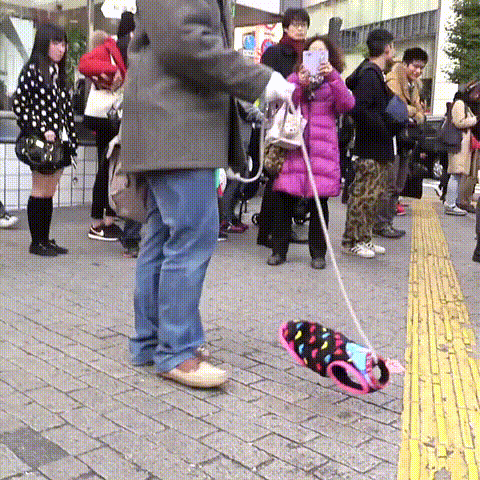 ef1c563c0fa1bb15225c700d8cbccb735e197acc427185fb10616fa75e3c94ed_1