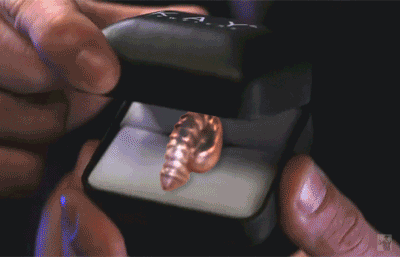penis