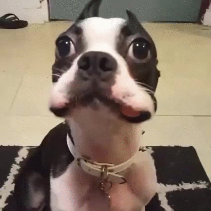 rbbLnqr