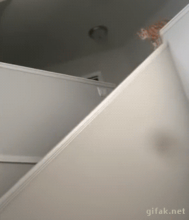 tumblr_o2kqghlFAa1ukldkho1_400