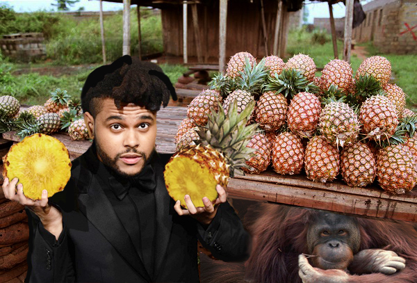 600x600fsMARKIN05MP05023_yapfiles