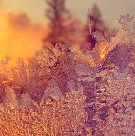 imageANSPCVHY