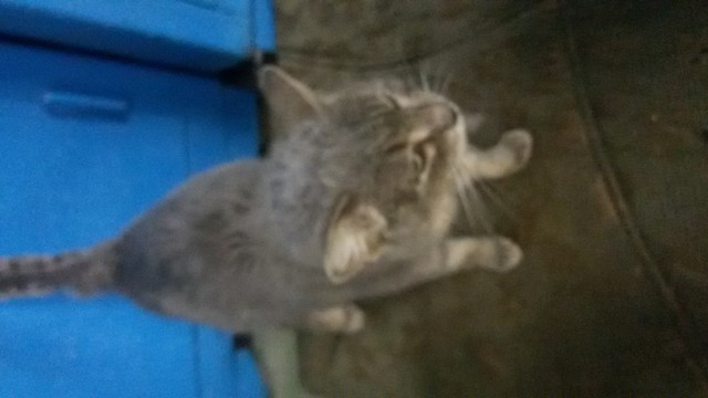 20160219_151706