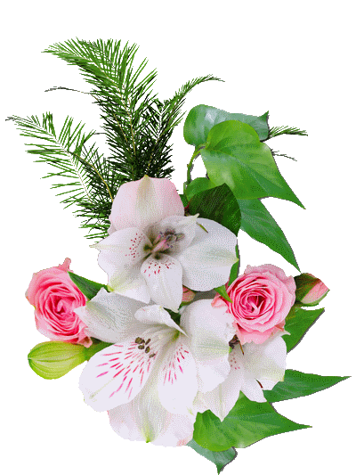 16невквапр