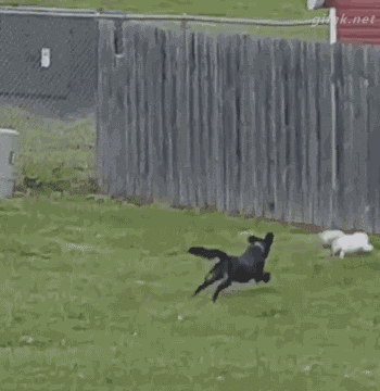 tumblr_o3edygoX4l1ukldkho1_400