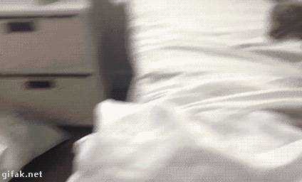 tumblr_o3cwbfk6A91ukldkho1_500