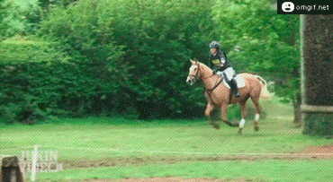 tumblr_mtf7r1d55z1r0wqrdo1_400