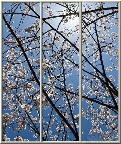 17a5b0004da438ebbd8a0e760d1e1df9