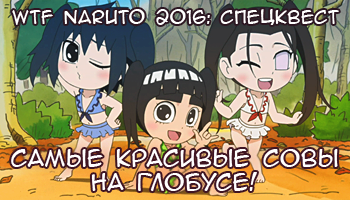 specialquest_banner06