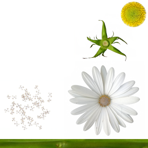 98