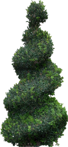 0_f3ed4_56a8f6cb_orig[1]
