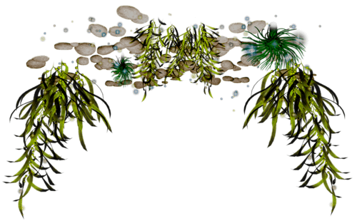 0_7e047_7ab72f17_L1